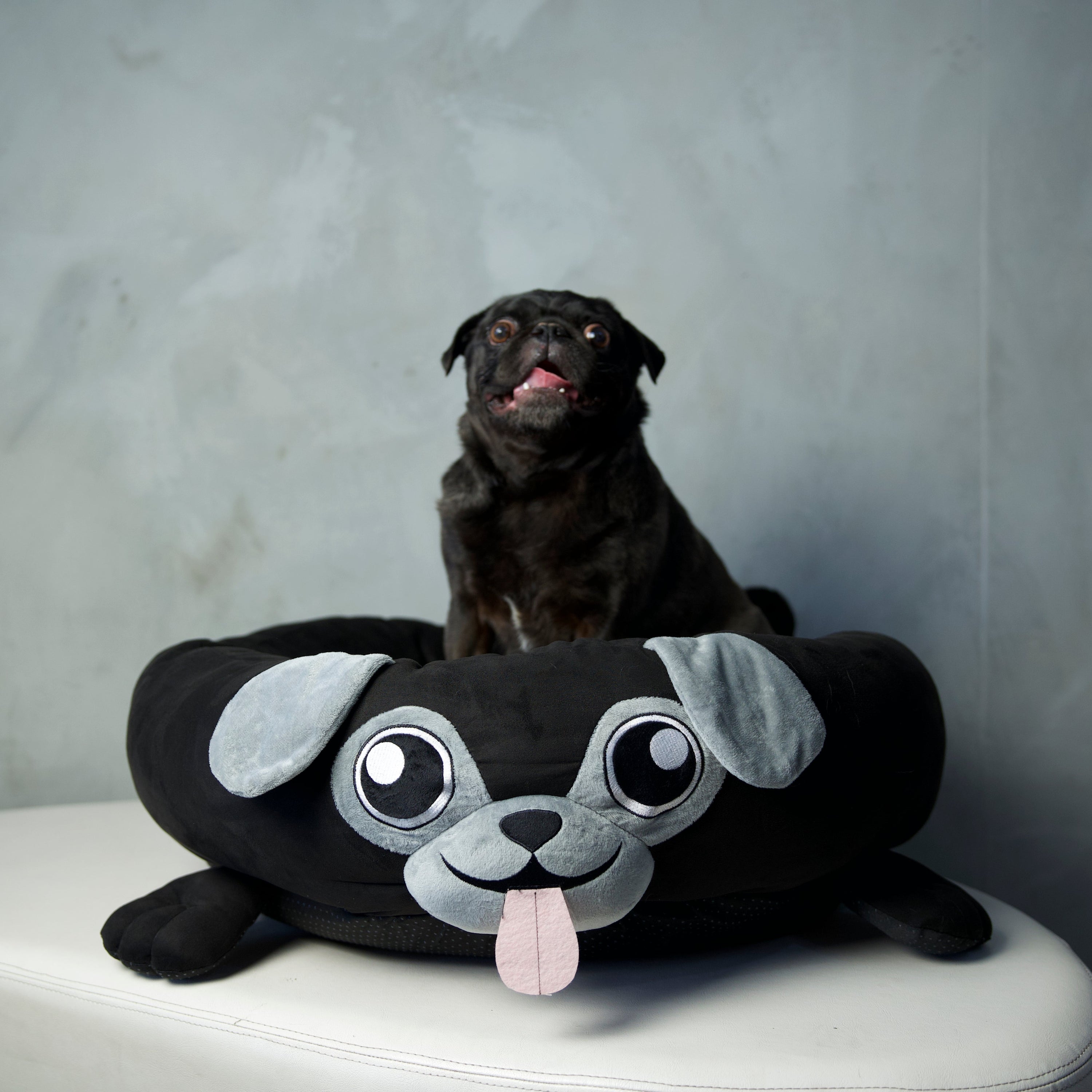 Nubbers Dog Bed (Black)